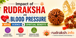 uploads/blog/8400105159726469fd9cb0b1d3frudraksha blood pressure.png